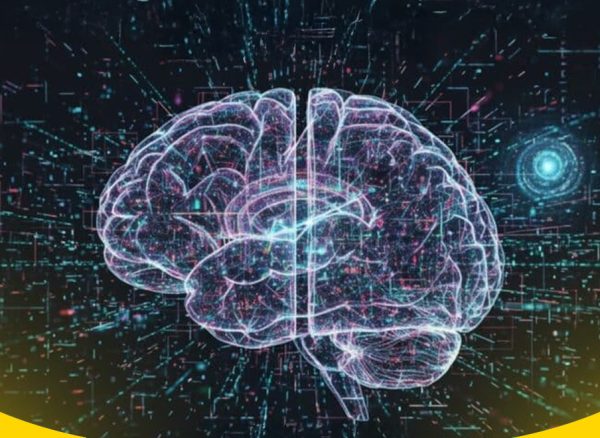 الذكاء الاصطناعي يرسم دماغ الإنسان بدقة لم يسبق لها مثيل الذكاء الاصطناعي يرسم دماغ الإنسان بدقة لم يسبق لها مثيل