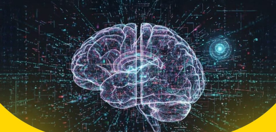 الذكاء الاصطناعي يرسم دماغ الإنسان بدقة لم يسبق لها مثيل